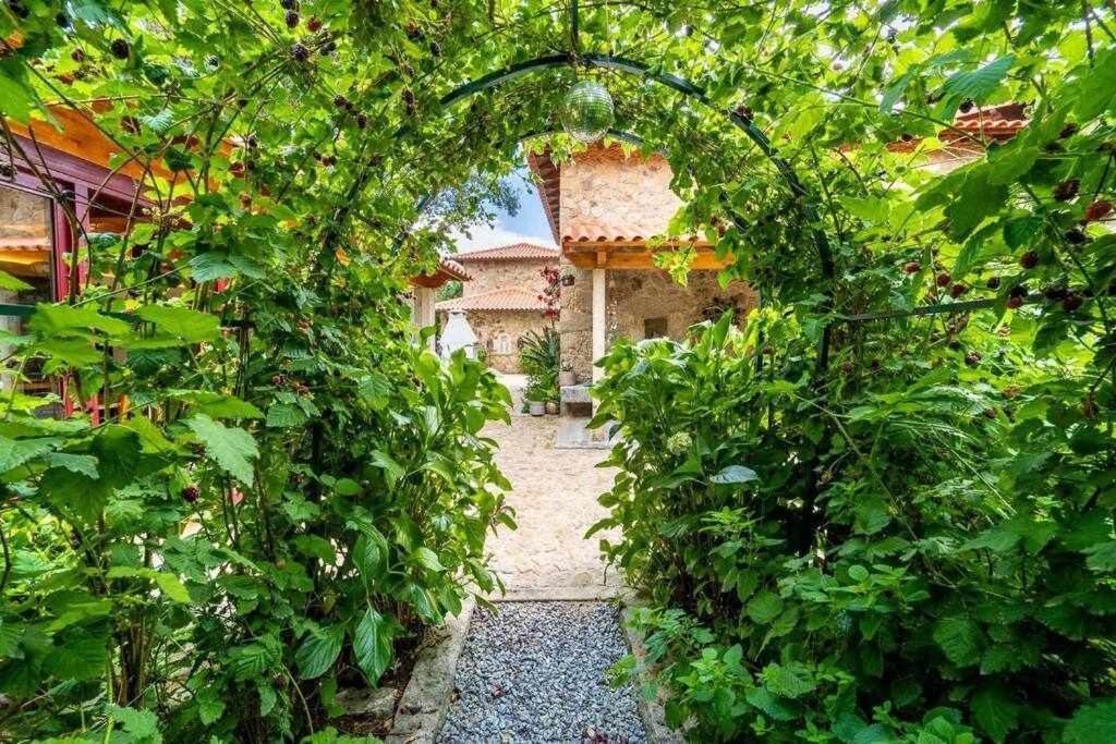 Casas Casal Do Carvalhal - Agroturismo Amares Eksteriør bilde