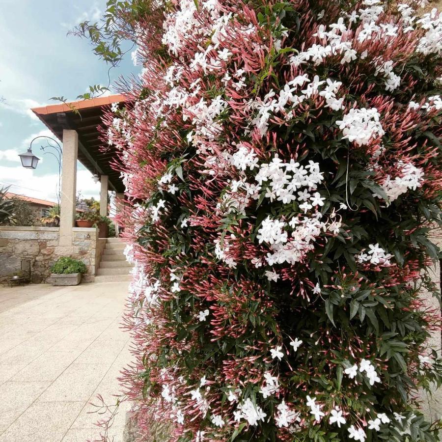 Casas Casal Do Carvalhal - Agroturismo Amares Eksteriør bilde
